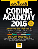 issue image