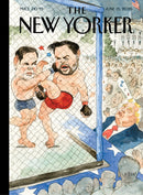 issue image