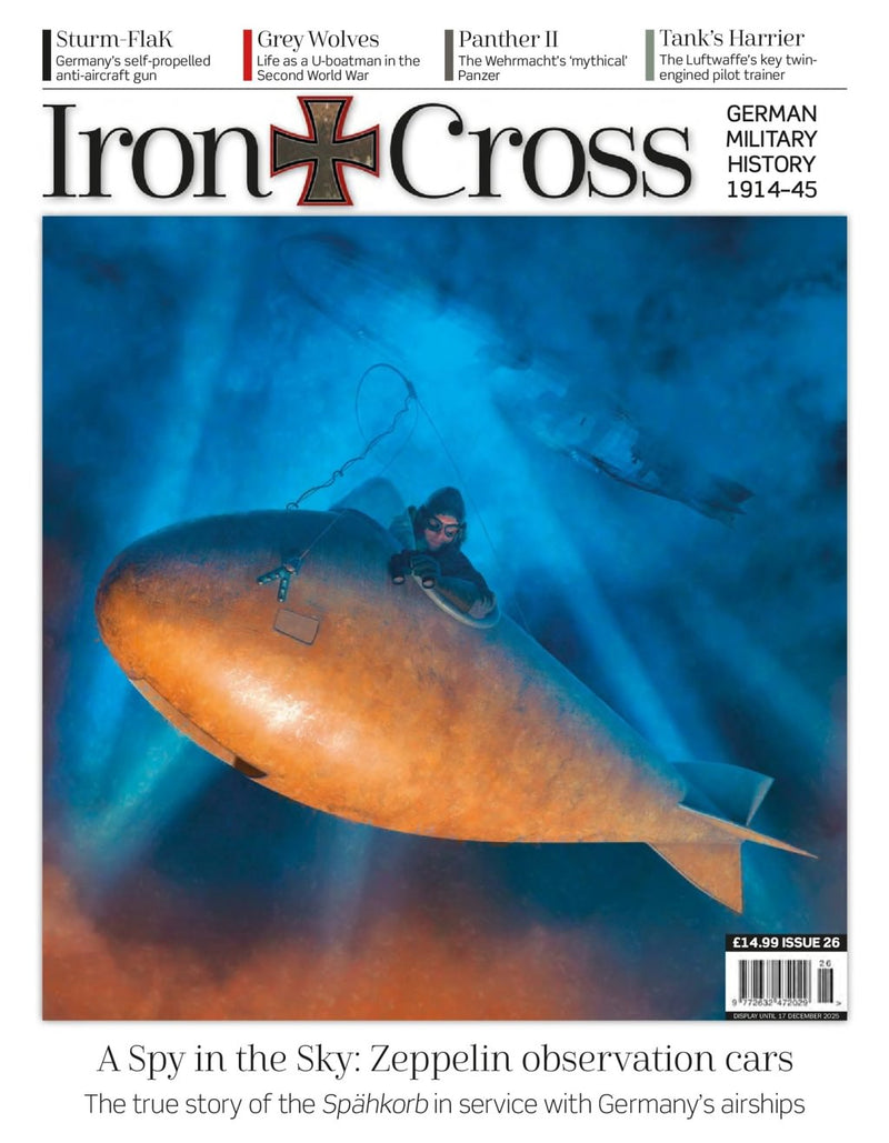issue image
