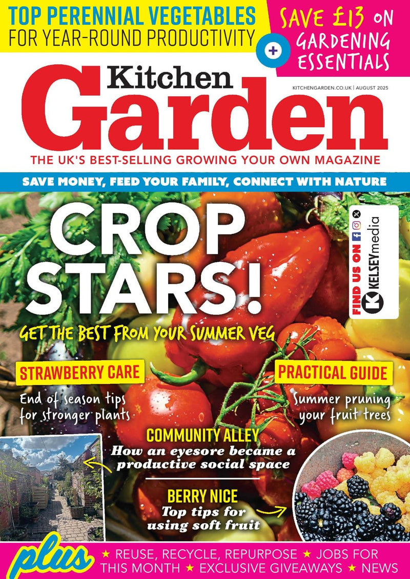 issue image