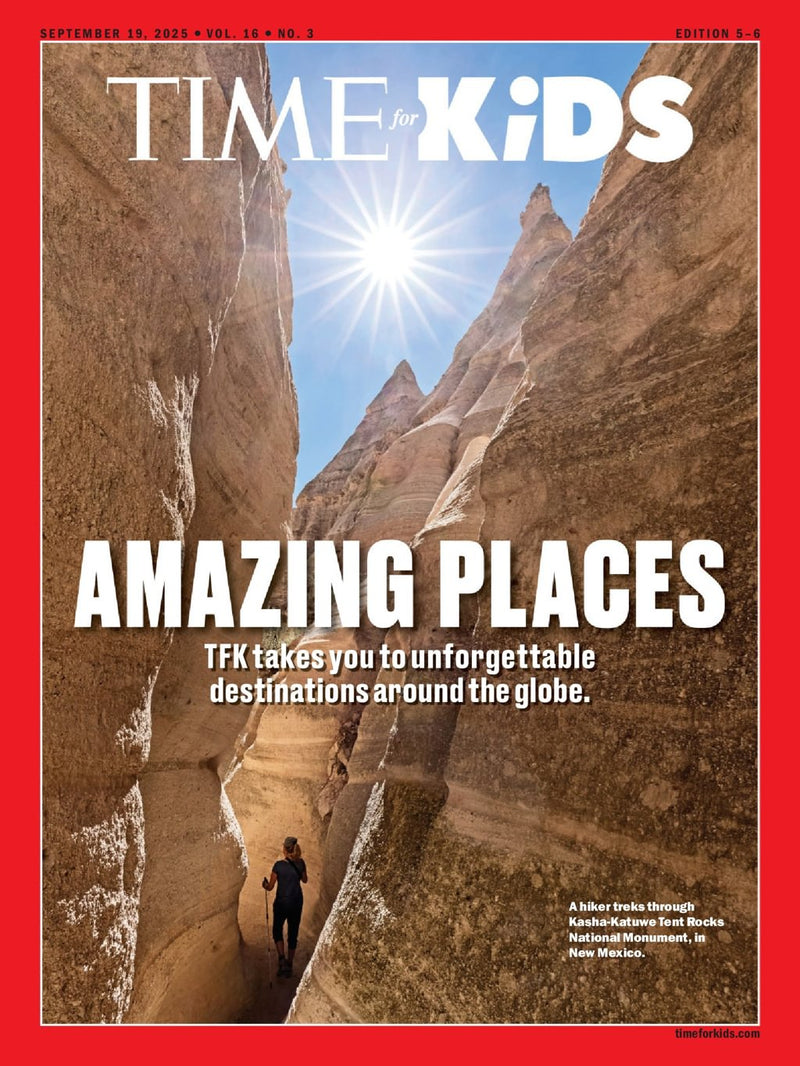 issue image