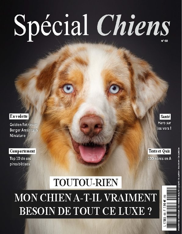 issue image