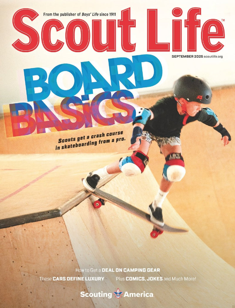 issue image