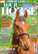issue image