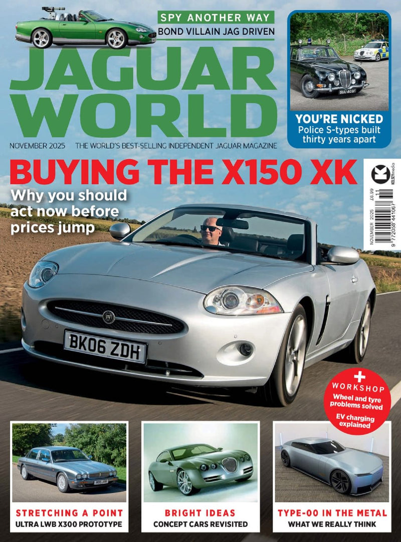 issue image