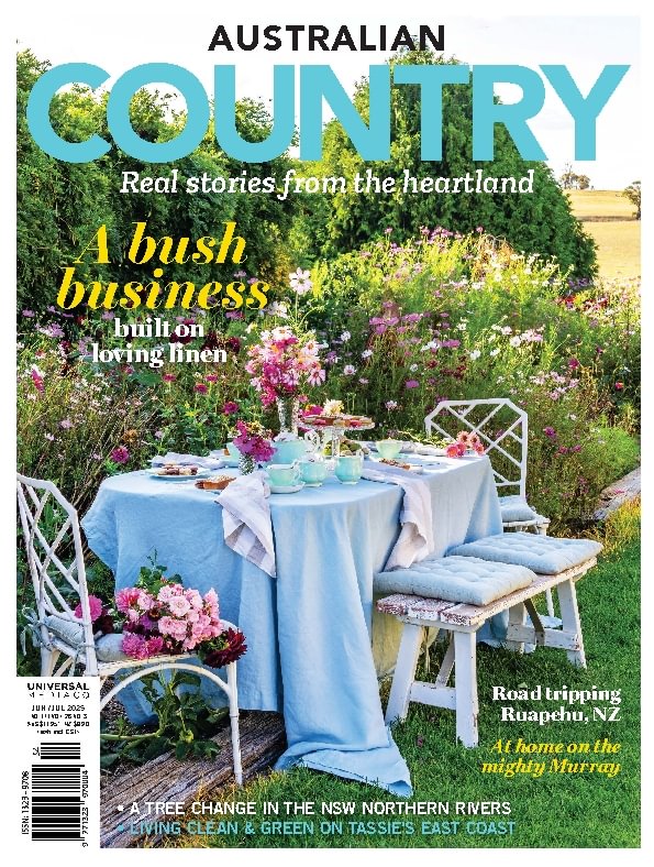 issue image
