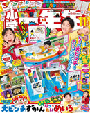 issue image