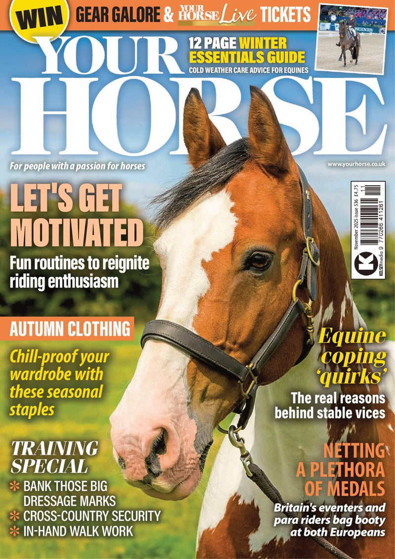 issue image