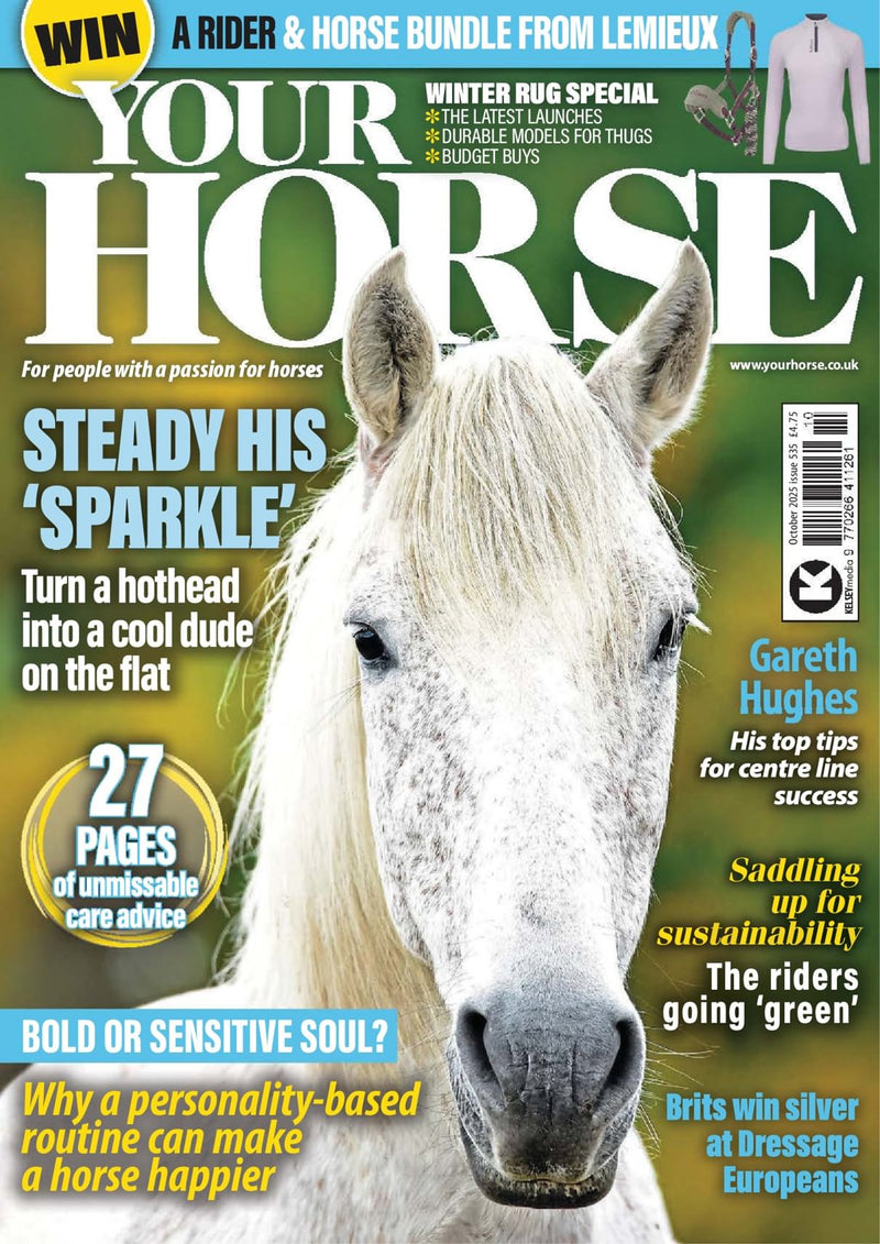 issue image