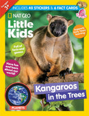 issue image