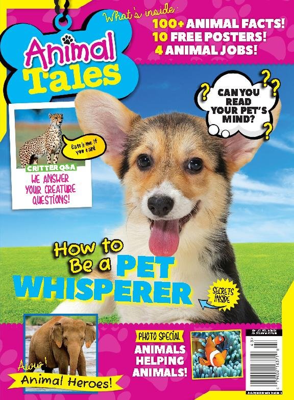 issue image