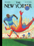 issue image