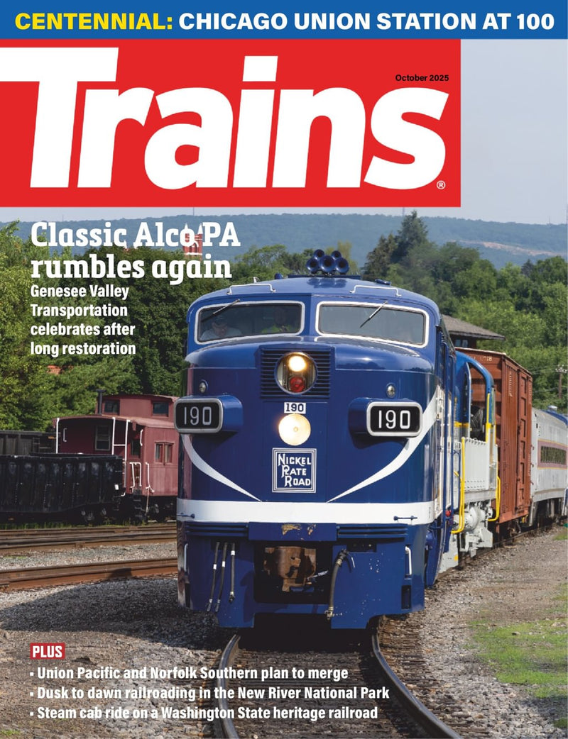 issue image