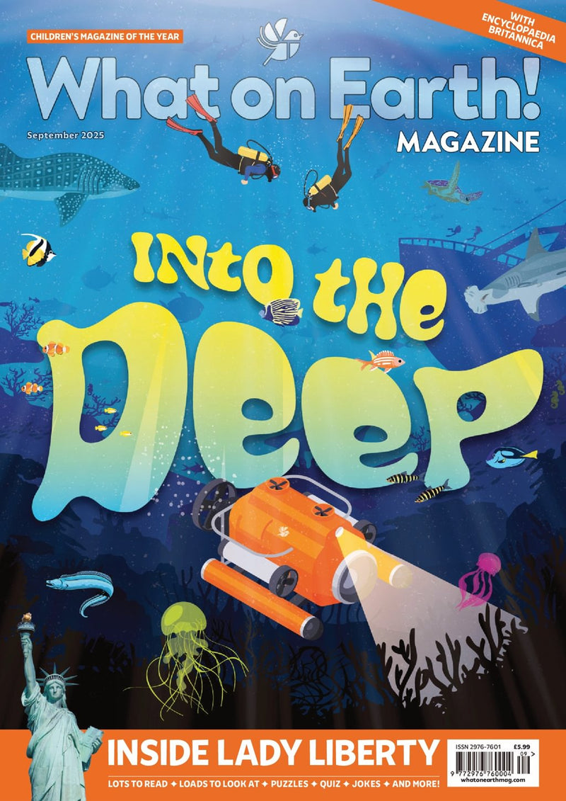 issue image