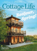 issue image