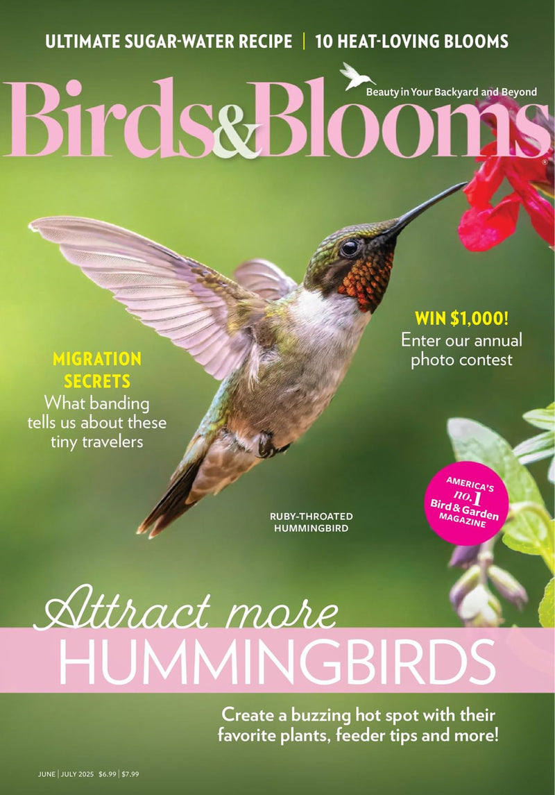 issue image