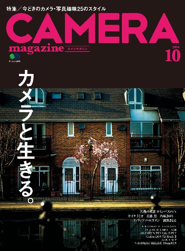 issue image
