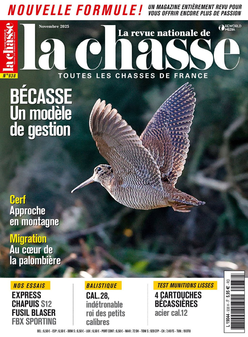 issue image