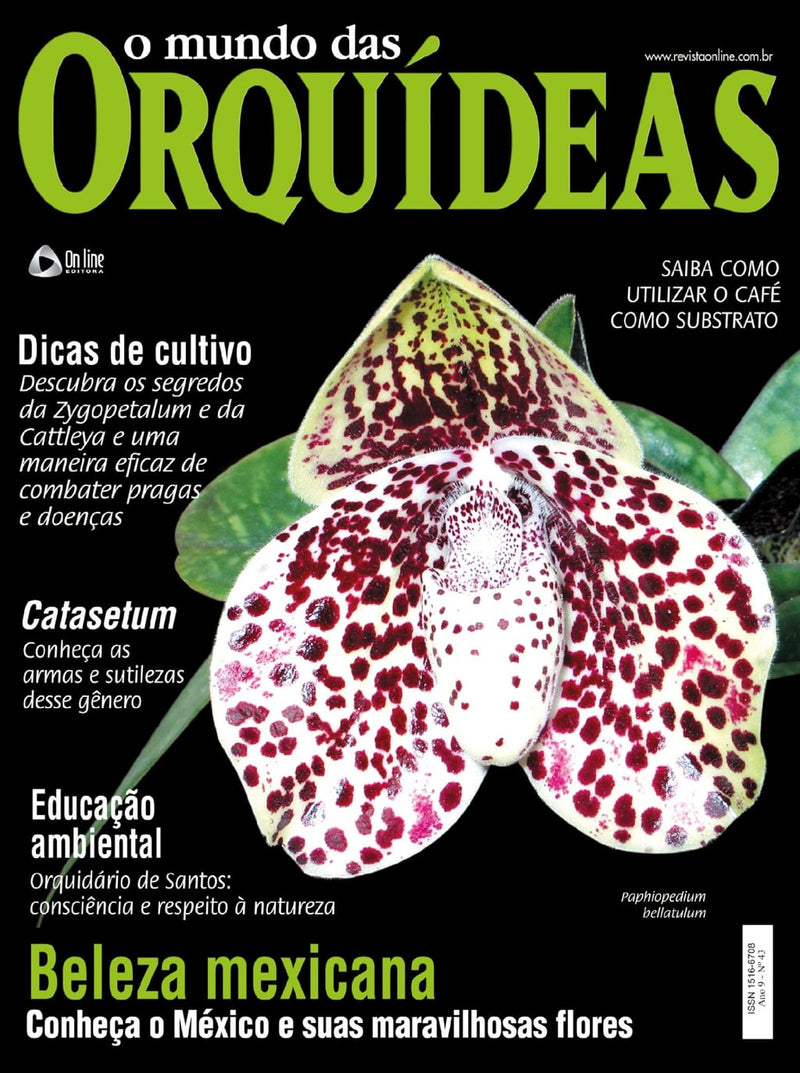 issue image