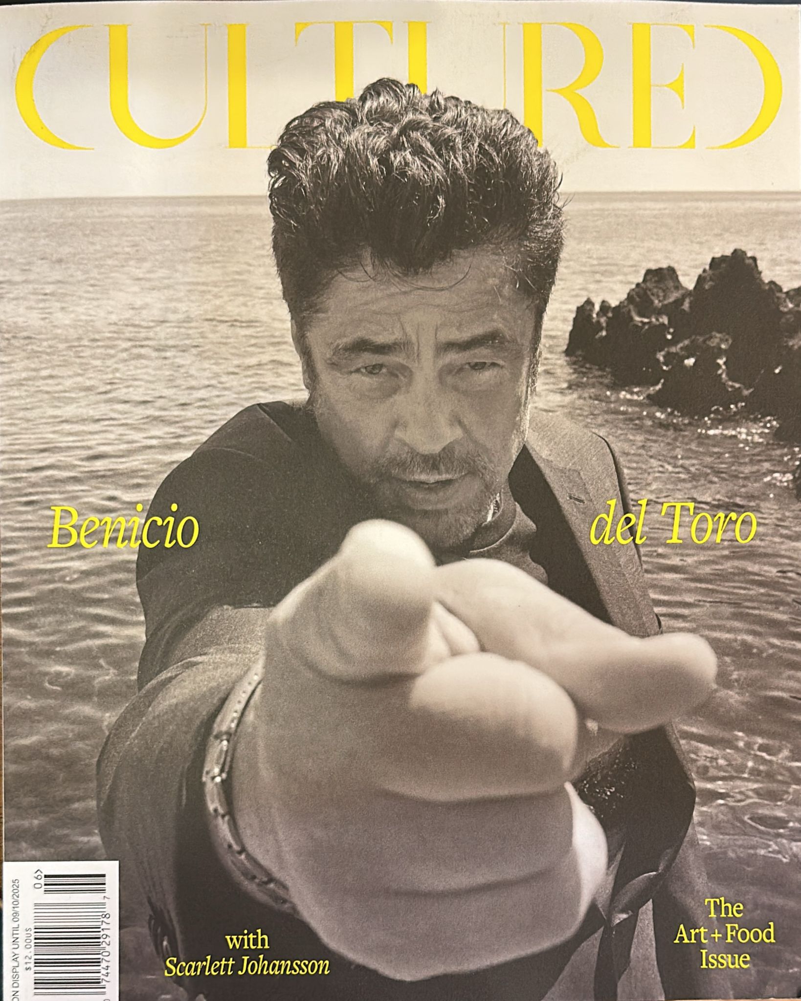 別冊+act. CULTURE SEARCH MAGAZINE Vol.23 Buy Cultured Magazine Subscription USA - magazinecafestore