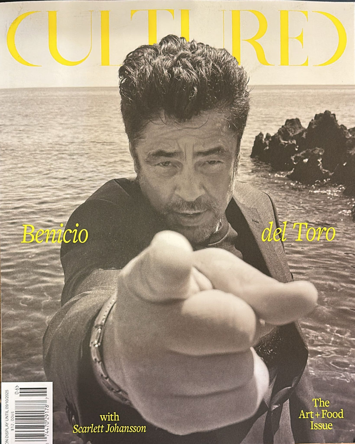 Buy Cultured Magazine Subscription USA - magazinecafestore