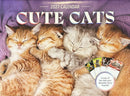 Cute Cats 2027 Calendar Magazine
