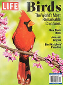 Life Birds Magazine