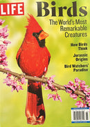 Life Birds Magazine