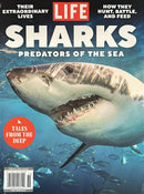Life Sharks Magazine
