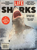 Life Sharks Magazine