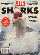 Life Sharks Magazine