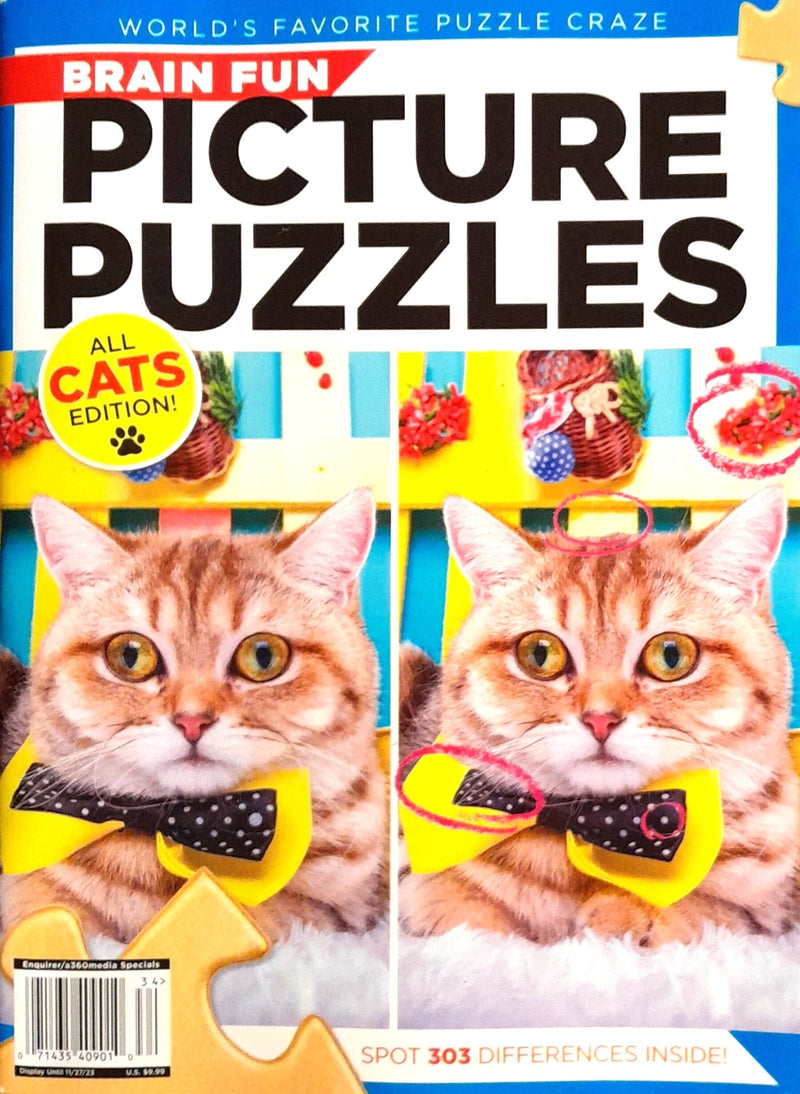 Christmas Picture Puzzles