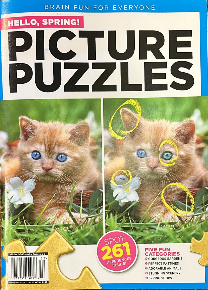 Christmas Picture Puzzles
