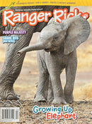 Ranger Rick Magazine