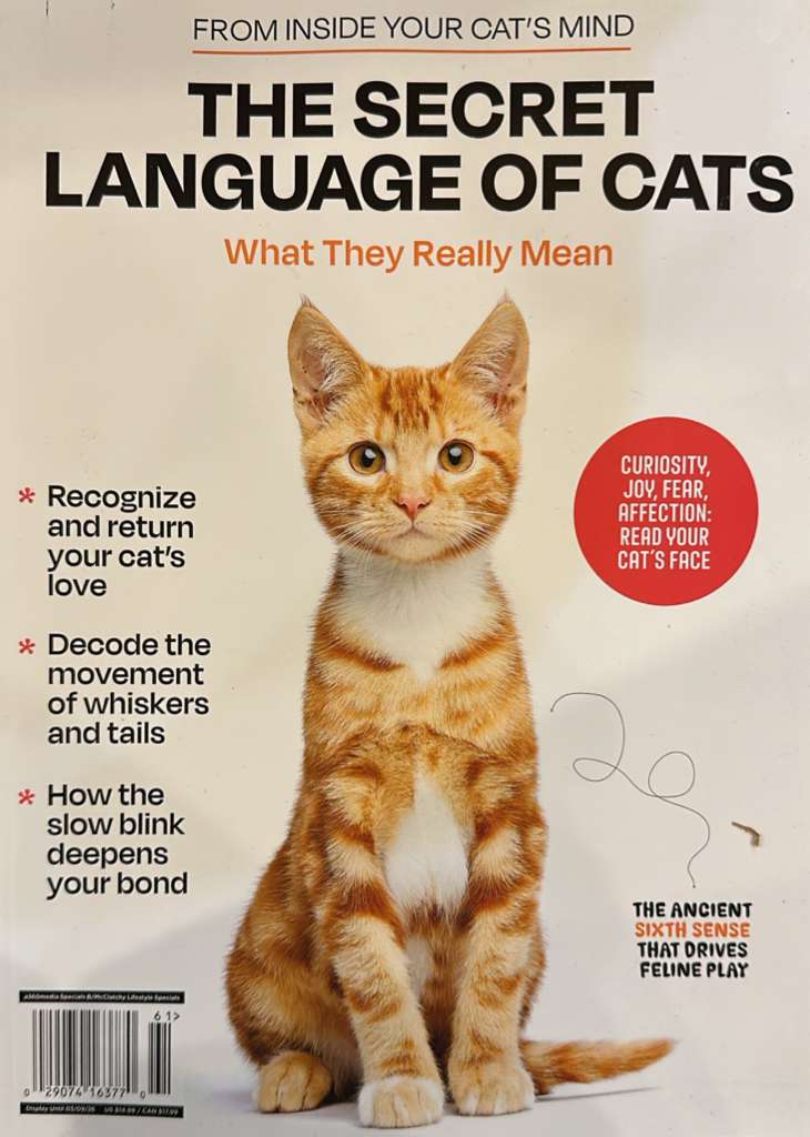 The Secret Language of Cats Magazine
