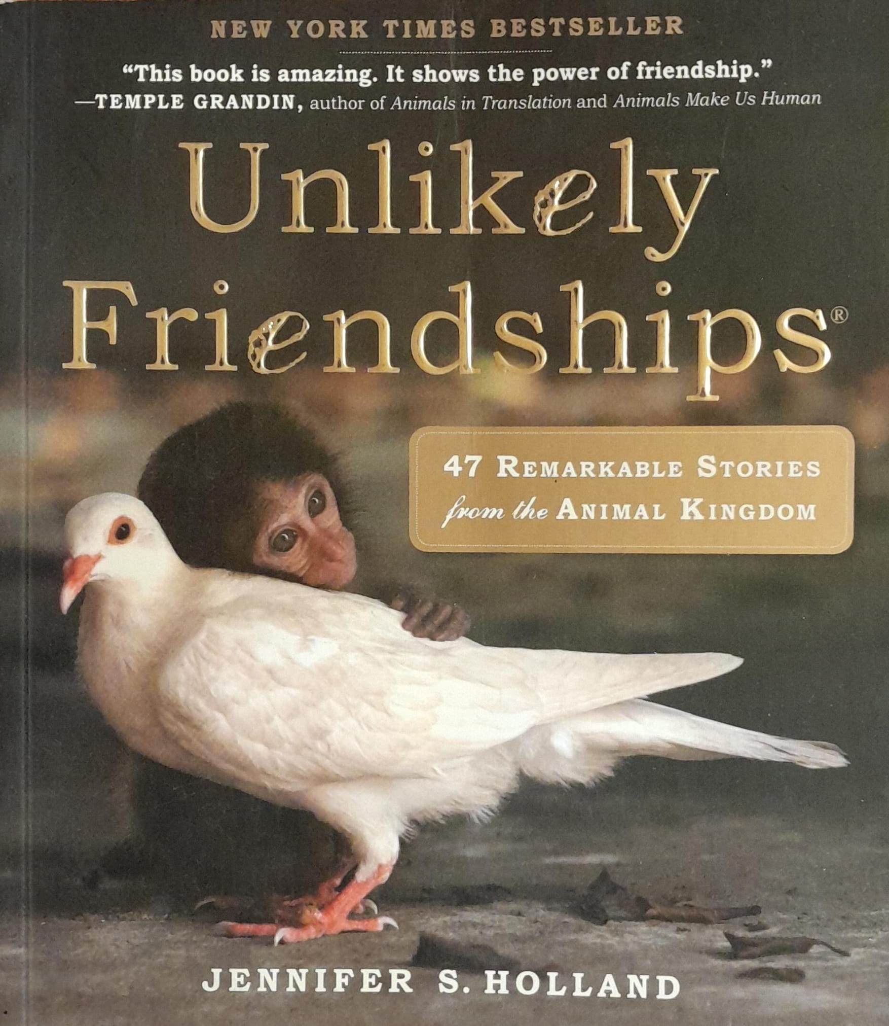 Unlikely Friendships Book Magazine