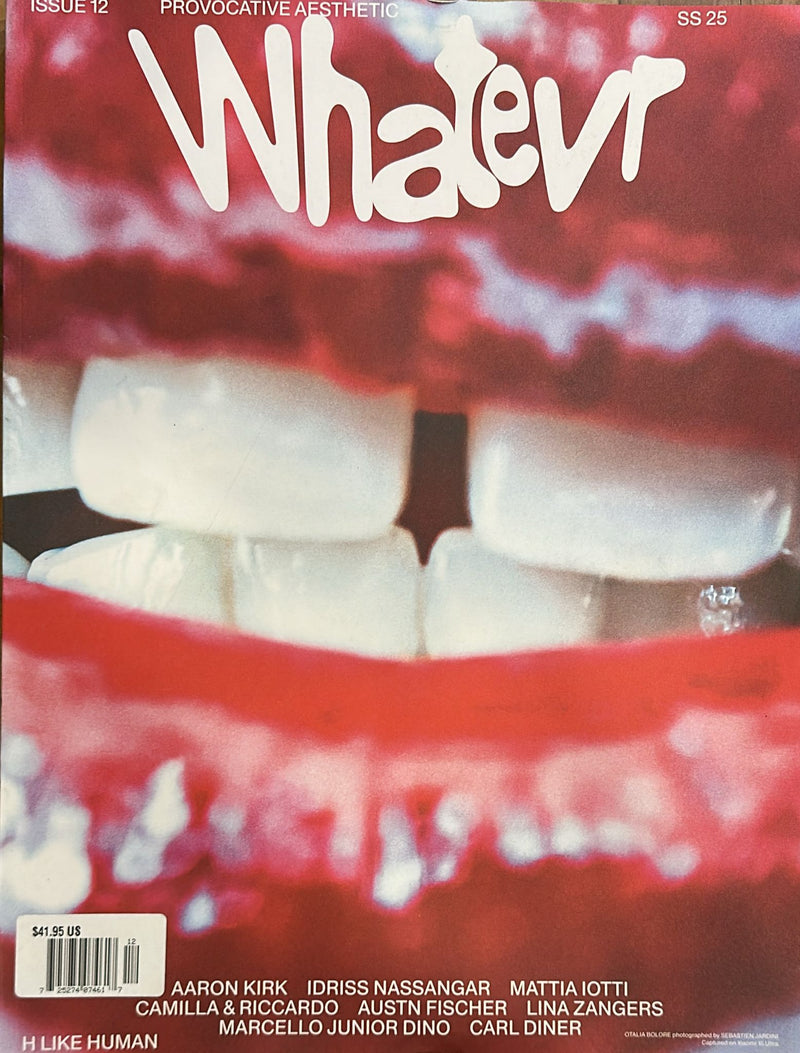 Whatever Fanzine Magazine