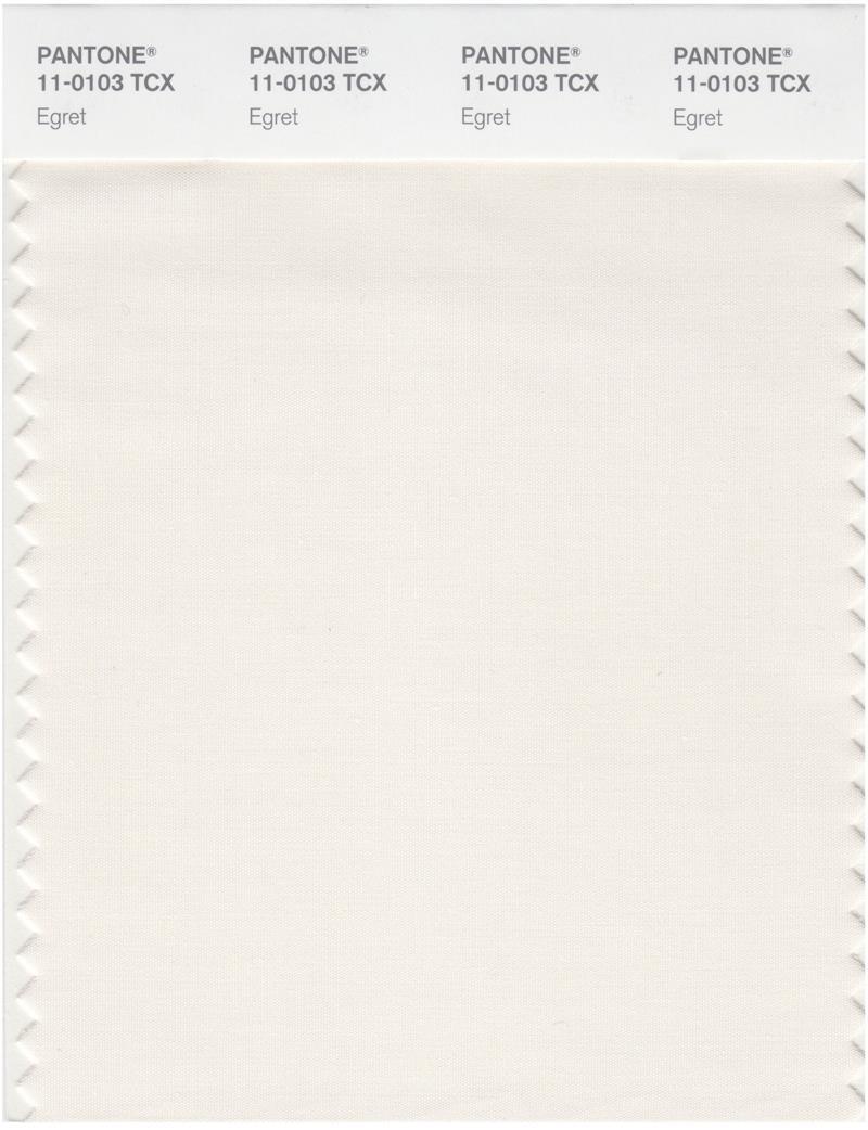 Pantone Smart 11-0103 TCX Color Swatch Card | Egret