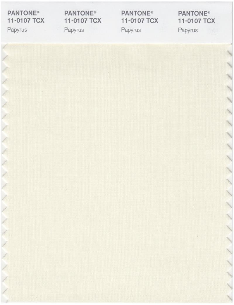 Papyrus Color Code Pantone Smart 11-0107 TCX Color Swatch Card | Papyrus | Magazine Cafe ...