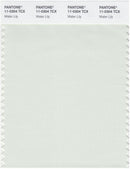 Pantone Smart 11-0304 TCX Color Swatch Card | Water Lily