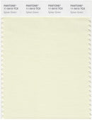 Pantone Smart 11-0410 TCX Color Swatch Card | Sylvan Green