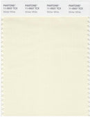 Pantone Smart 11-0507 TCX Color Swatch Card | Winter White