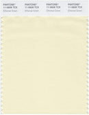 Pantone Smart 11-0609 TCX Color Swatch Card | Ethereal Green