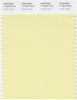 Pantone Smart 11-0616 TCX Color Swatch Card | Pastel Yellow