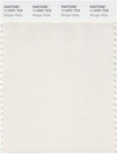Pantone Smart 11-0701 TCX Color Swatch Card | Whisper White