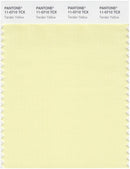 Pantone Smart 11-0710 TCX Color Swatch Card | Tender Yellow