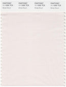 Pantone Smart 11-1005 TCX Color Swatch Card | Bridal Blush