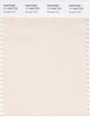 Pantone Smart 11-1404 TCX Color Swatch Card | Powder Puff