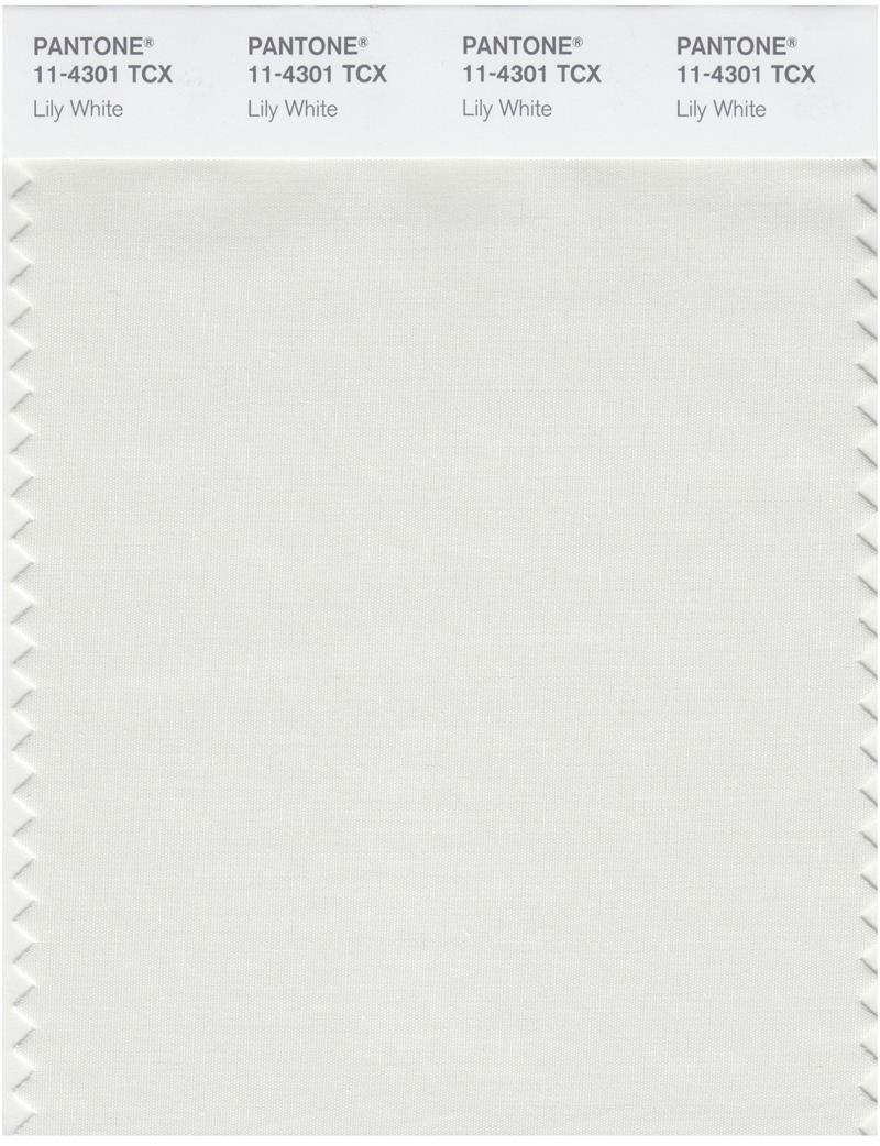 Pantone Smart 11-4301 TCX Color Swatch Card | Lily White