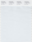 Pantone Smart 11-4601 TCX Color Swatch Card | Bit of Blue